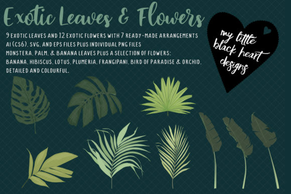 Download Exotic Leaves and Flowers - Flowers Collection