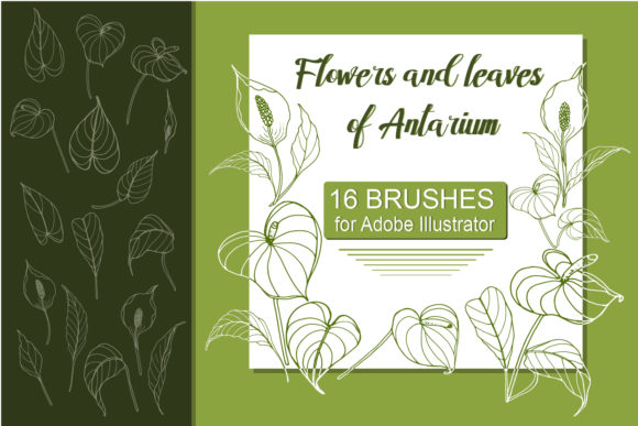 Download Antarium Flowers and Leaves Brushes - Flowers Collection